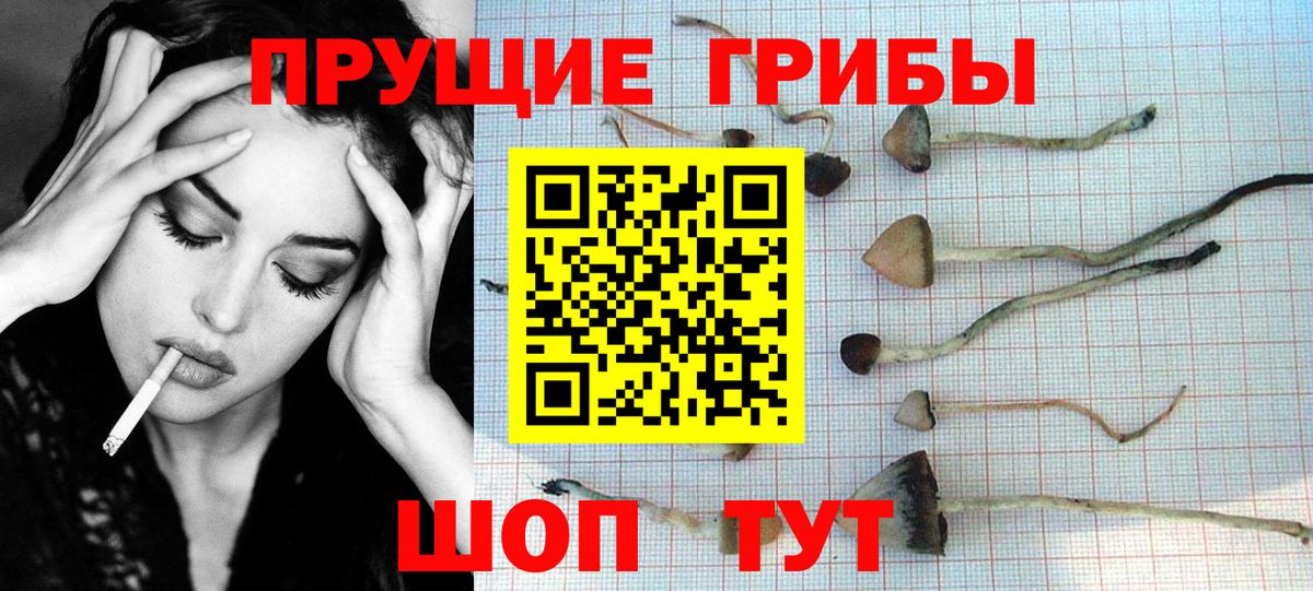 Галлюциногенные грибы прущие грибы Воскресенск